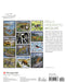 POM Molly Hashimoto: Wildlife 2027 Mini Wall Calendar