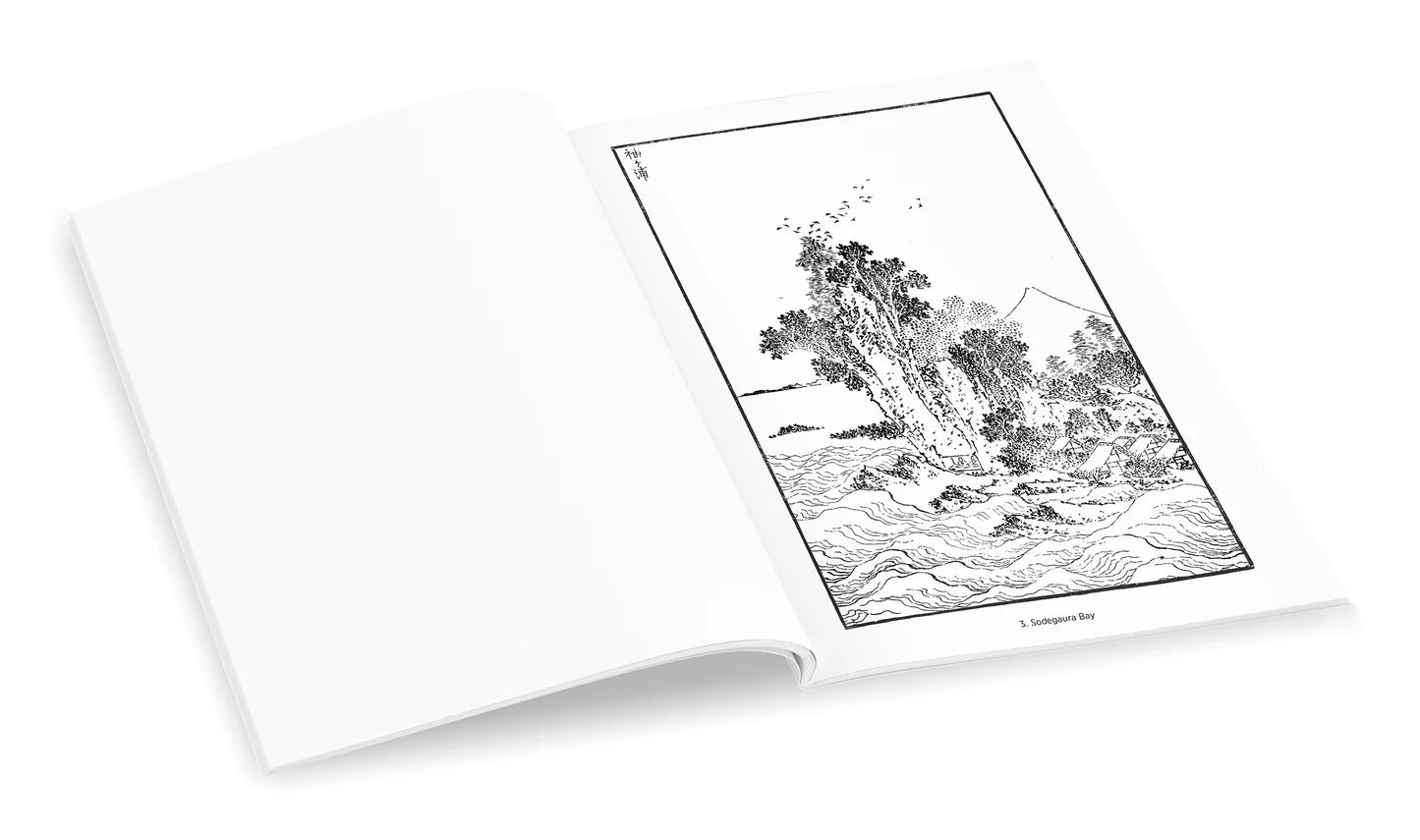 Hokusai: Views of Mt. Fuji Coloring Book