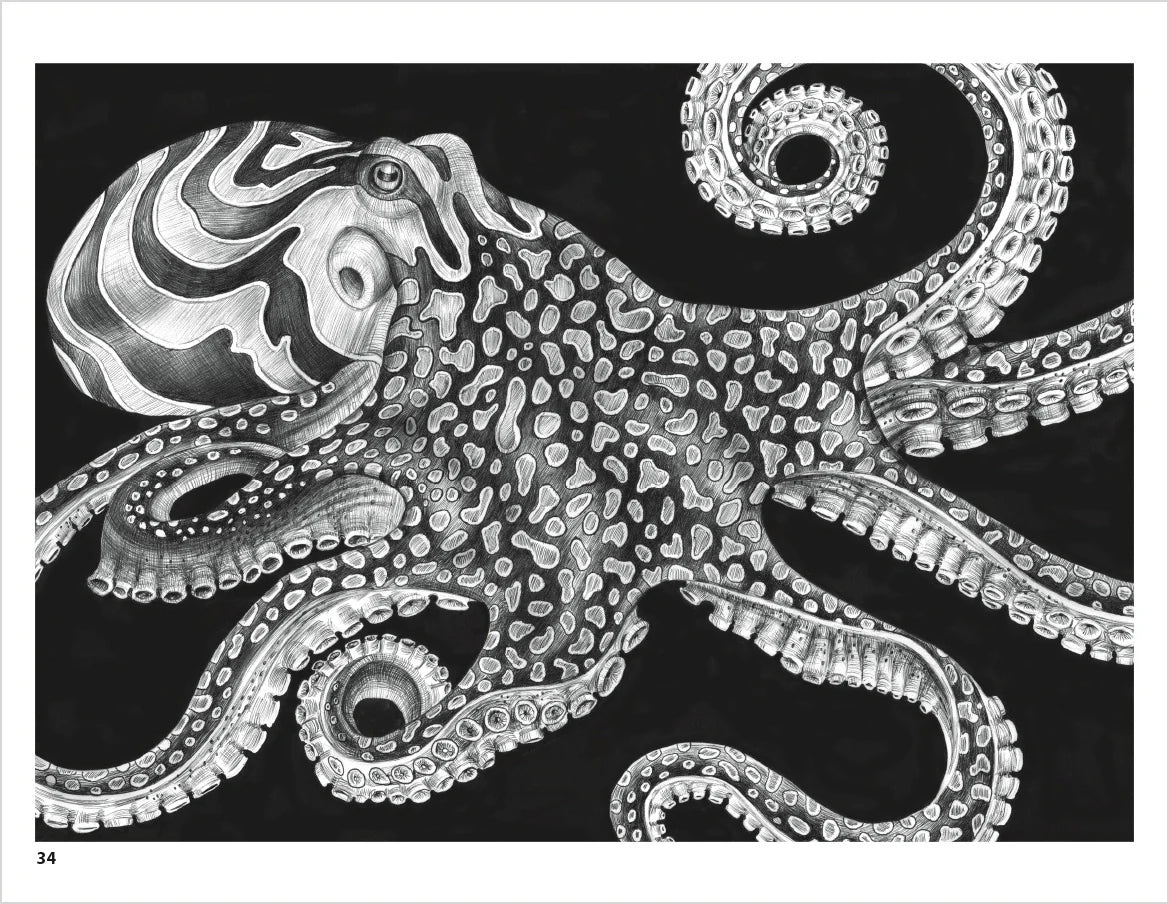 Intricate Ink Animals In Detail Coloring Book