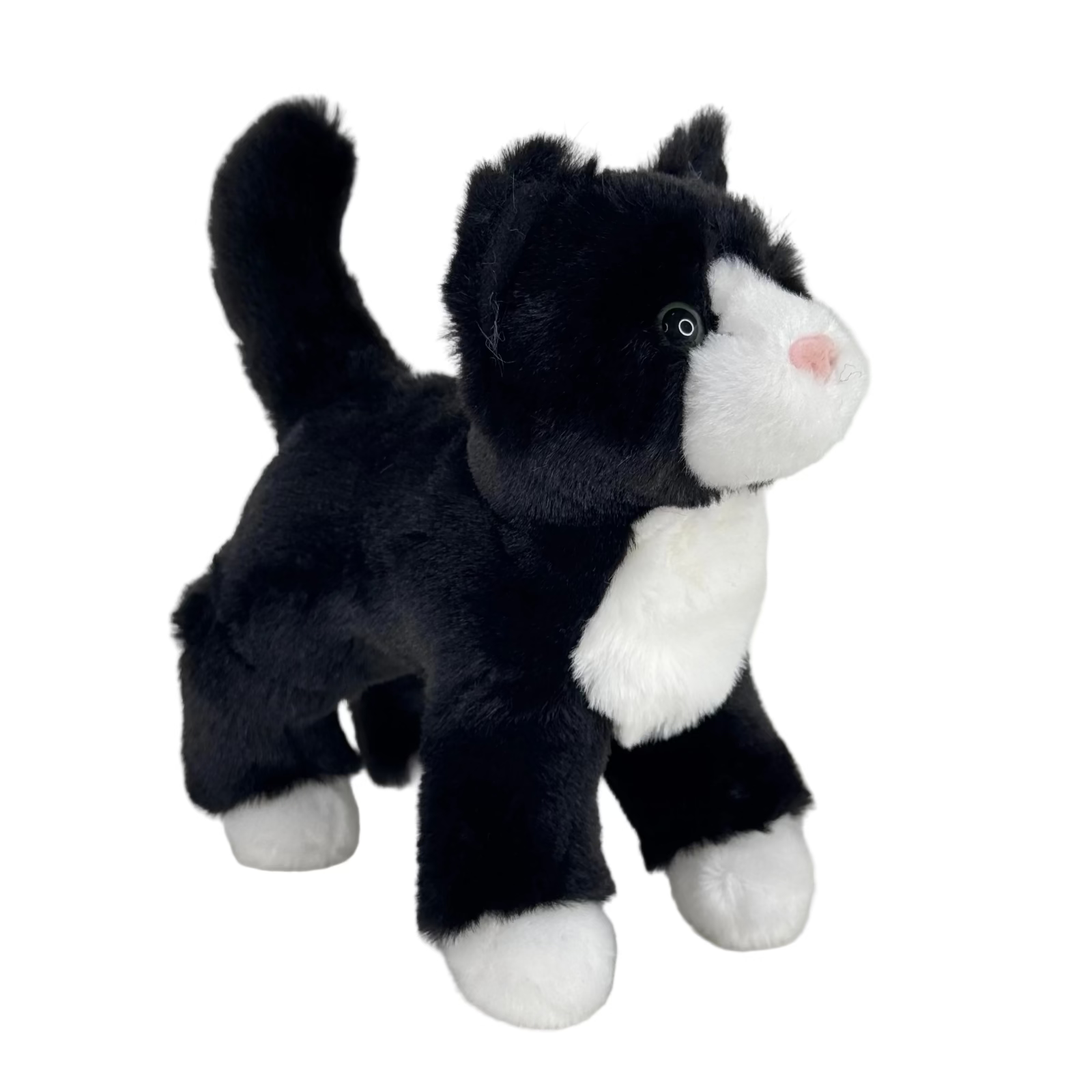 Snippy Black And White Cat