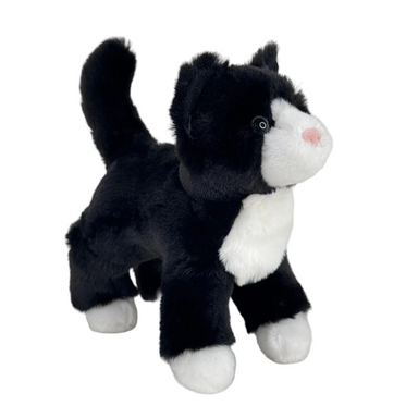 Snippy Black And White Cat