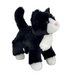 Snippy Black And White Cat