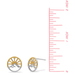 BOMA Radiant Sunrise Studs - Gold and Silver