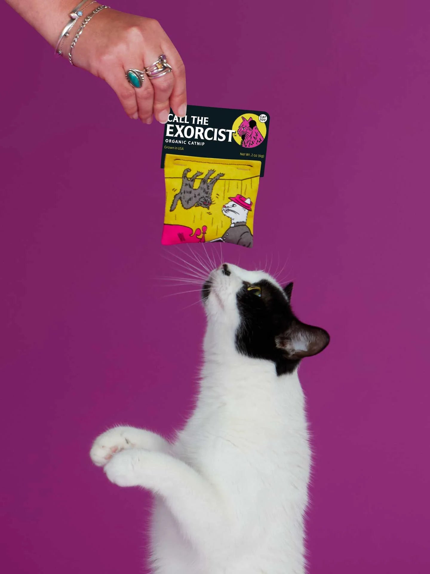 BLUQ Call The Exorcist Catnip Toy