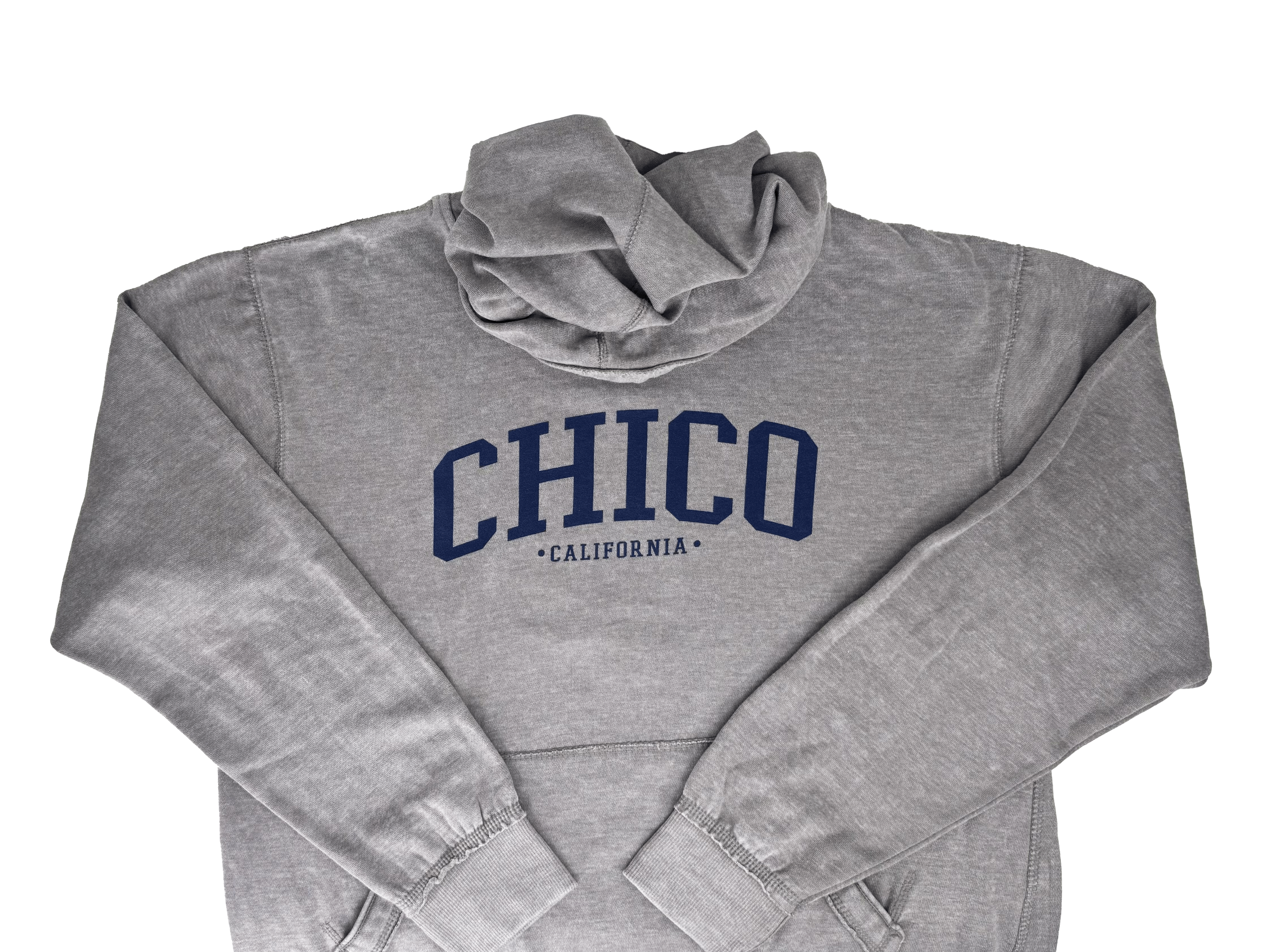 Ivy Scene This Chico Burnout Wash Hooded Sweatshirt