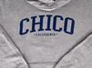 Ivy Scene This Chico Burnout Wash Hooded Sweatshirt