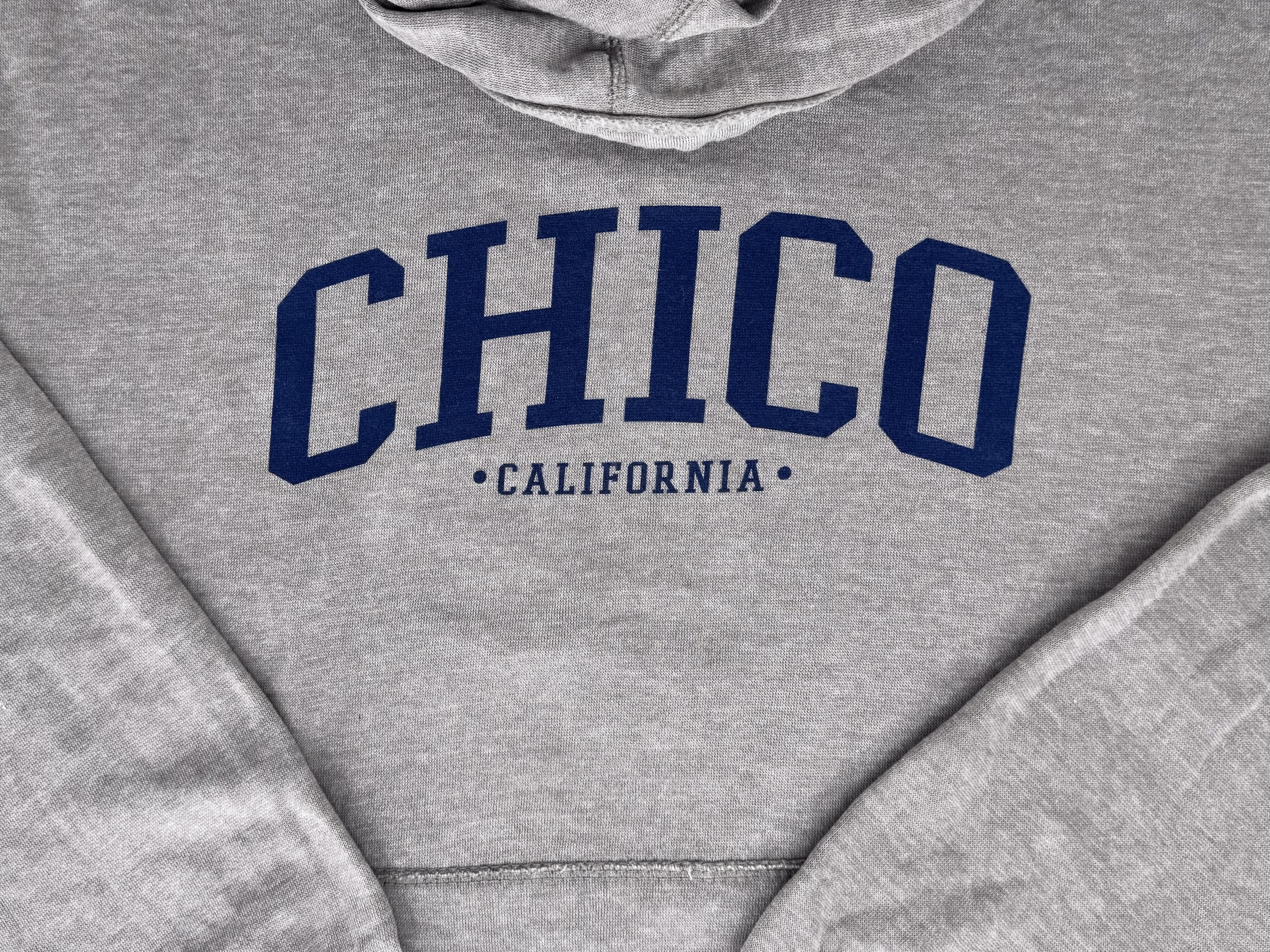 Ivy Scene This Chico Burnout Wash Hooded Sweatshirt