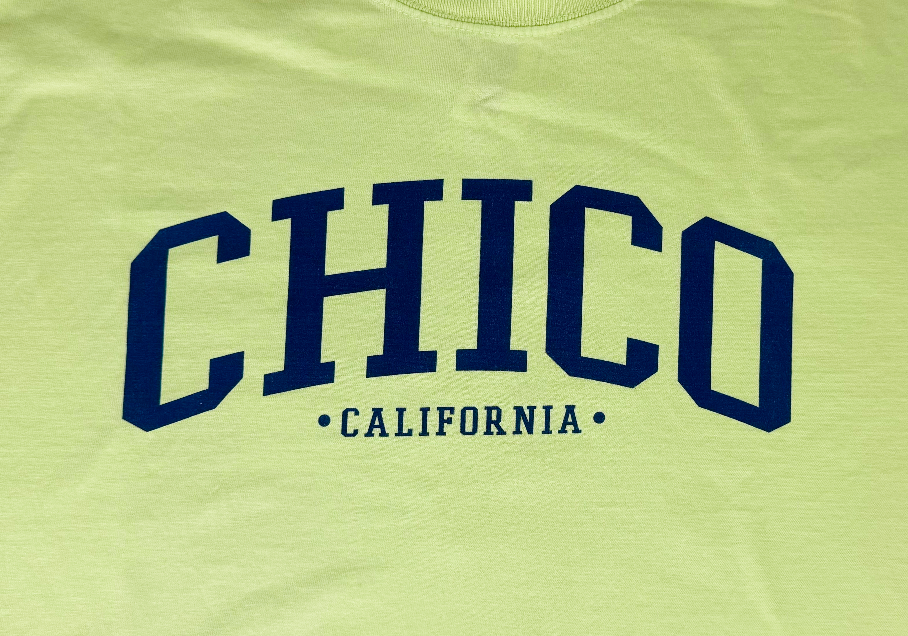 Ivy Scene This 100% Cotton Chico T-Shirt