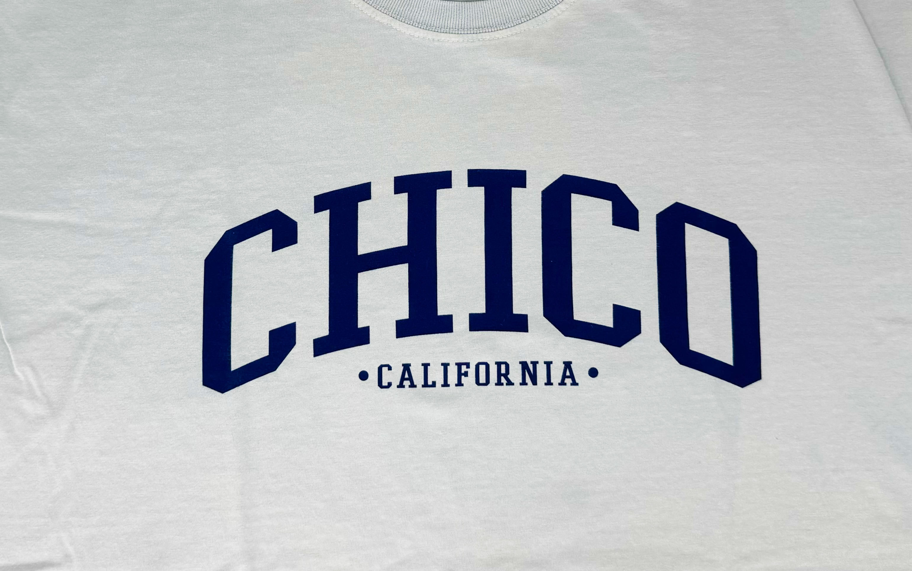 Ivy Scene This 100% Cotton Chico T-Shirt