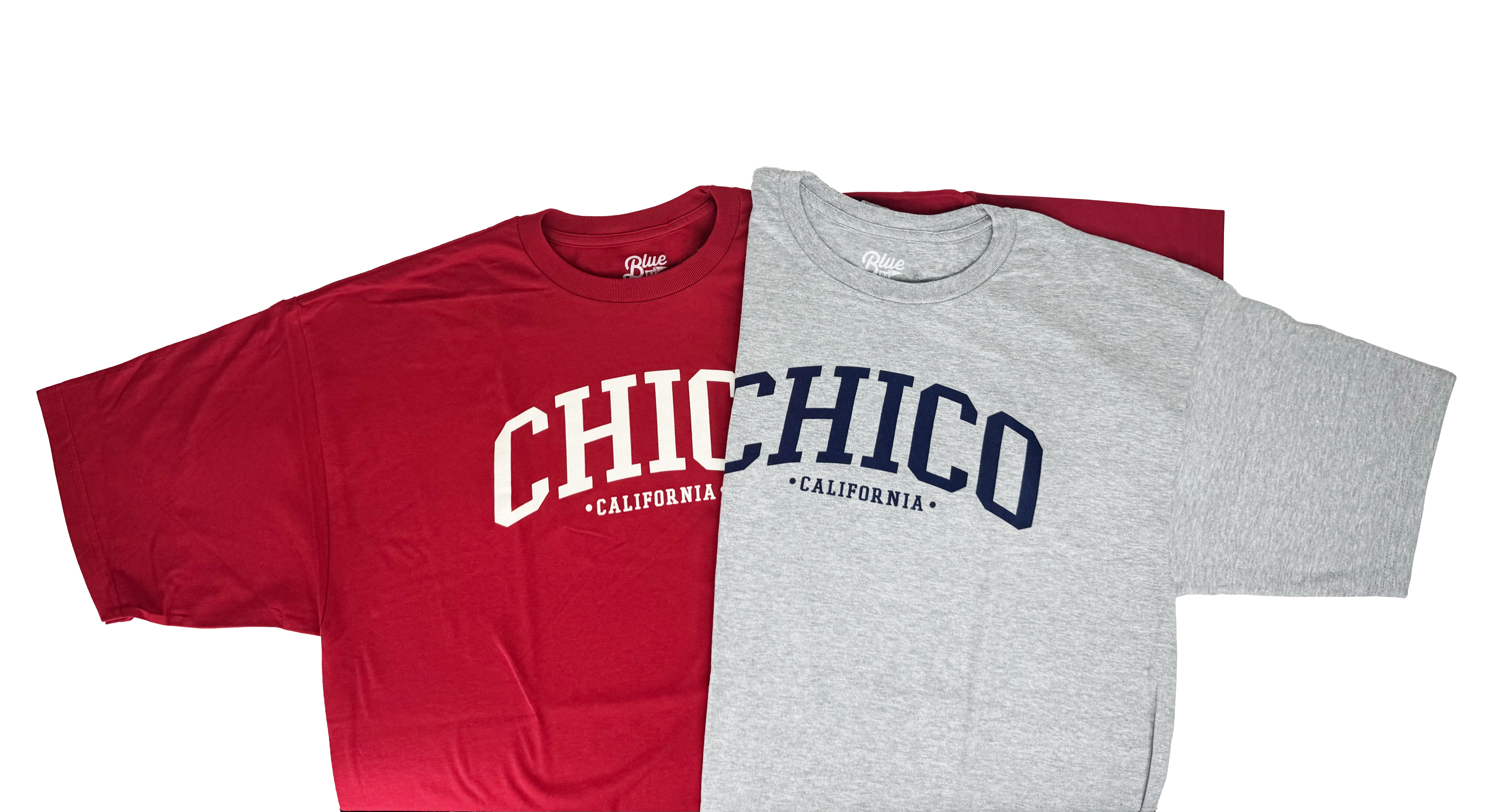 Ivy Scene This Chico T-Shirt