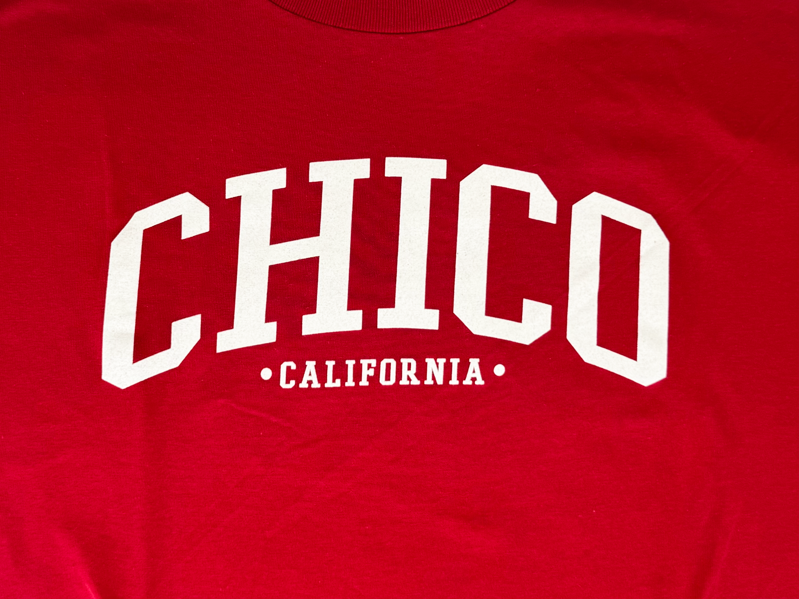 Ivy Scene This Chico T-Shirt