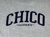Ivy Scene This Chico T-Shirt