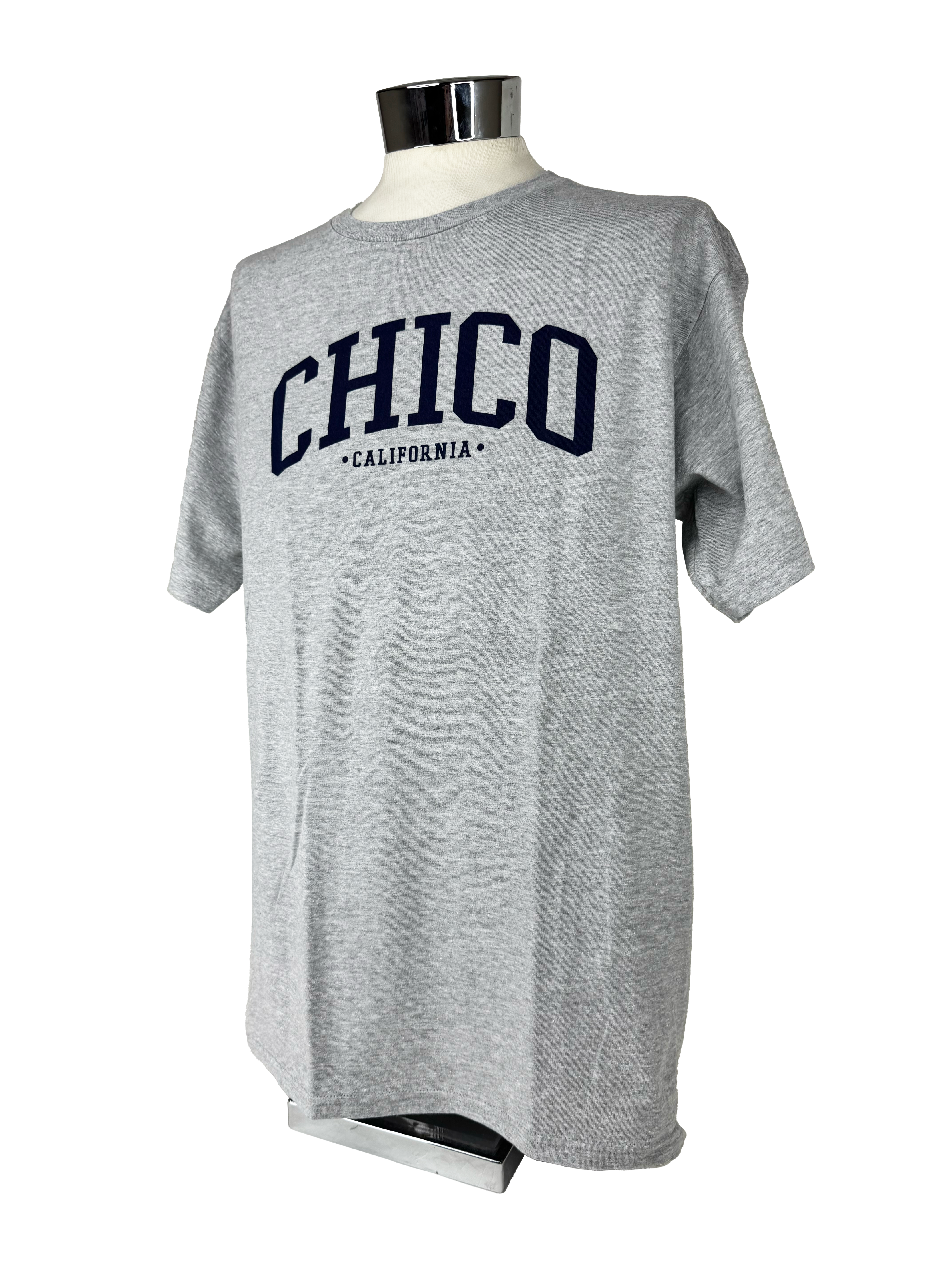 Ivy Scene This Chico T-Shirt Heather S 3279418.1