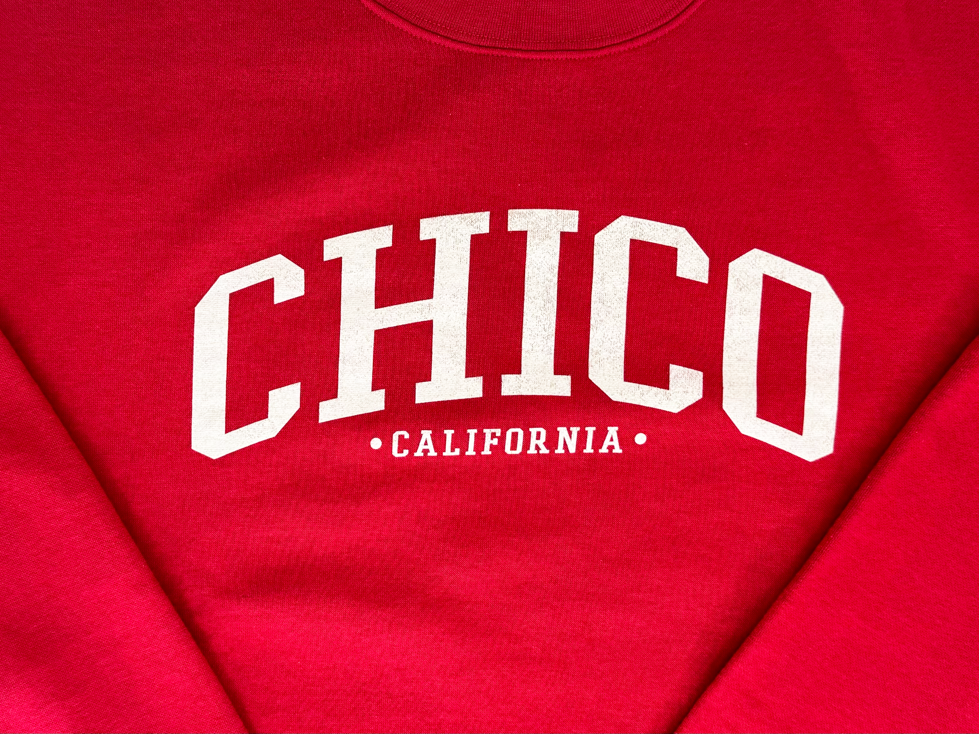 Ivy Scene This Chico Sweatshirt