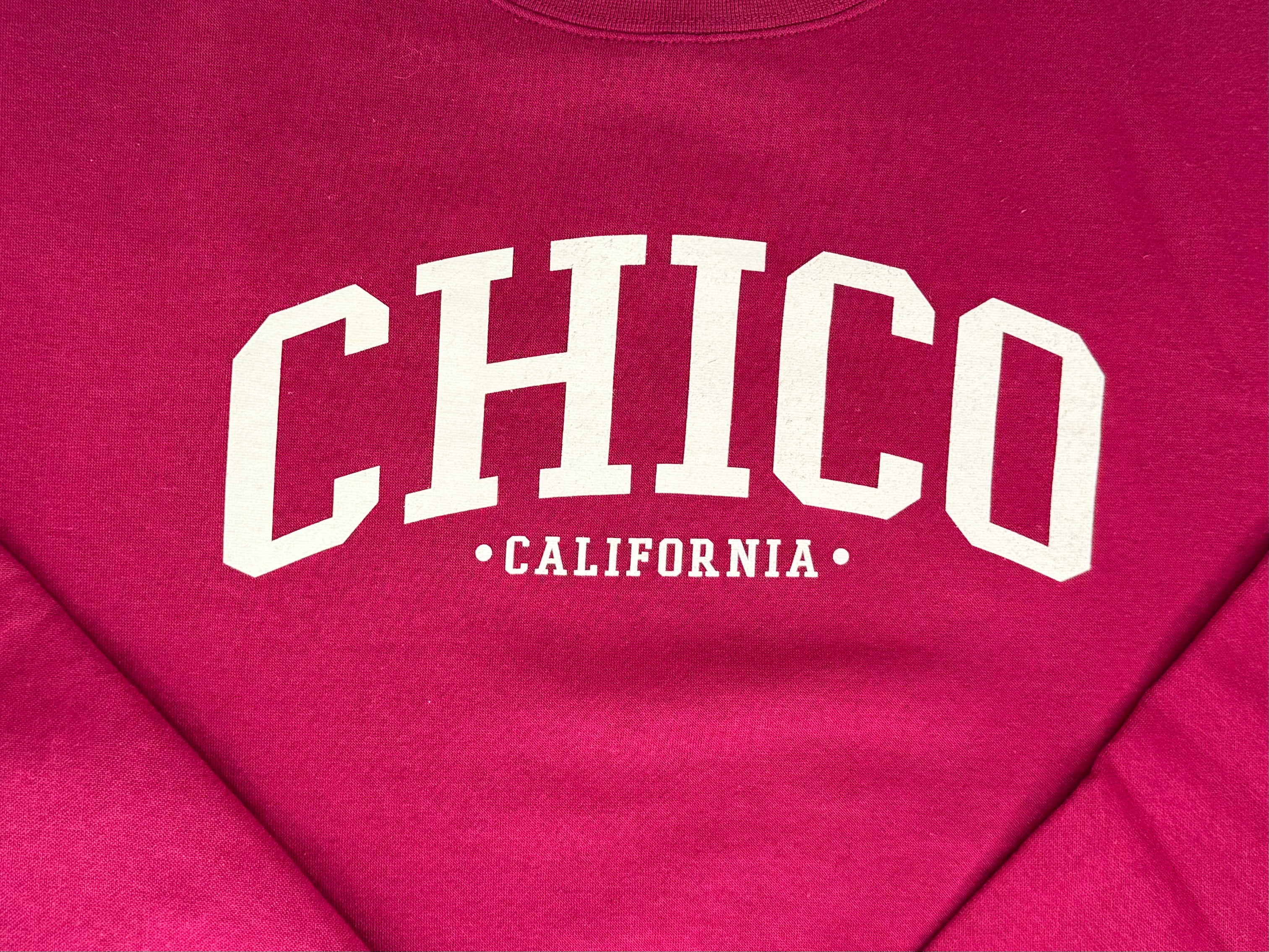 Ivy Scene This Chico Sweatshirt