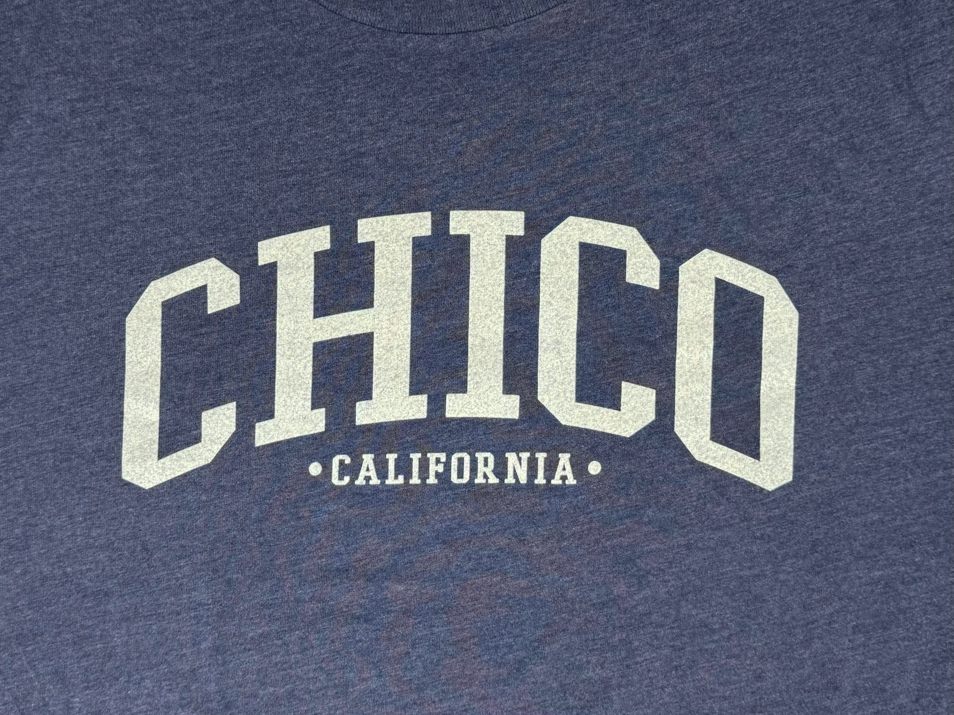Ivy Scene This Chico T-Shirt