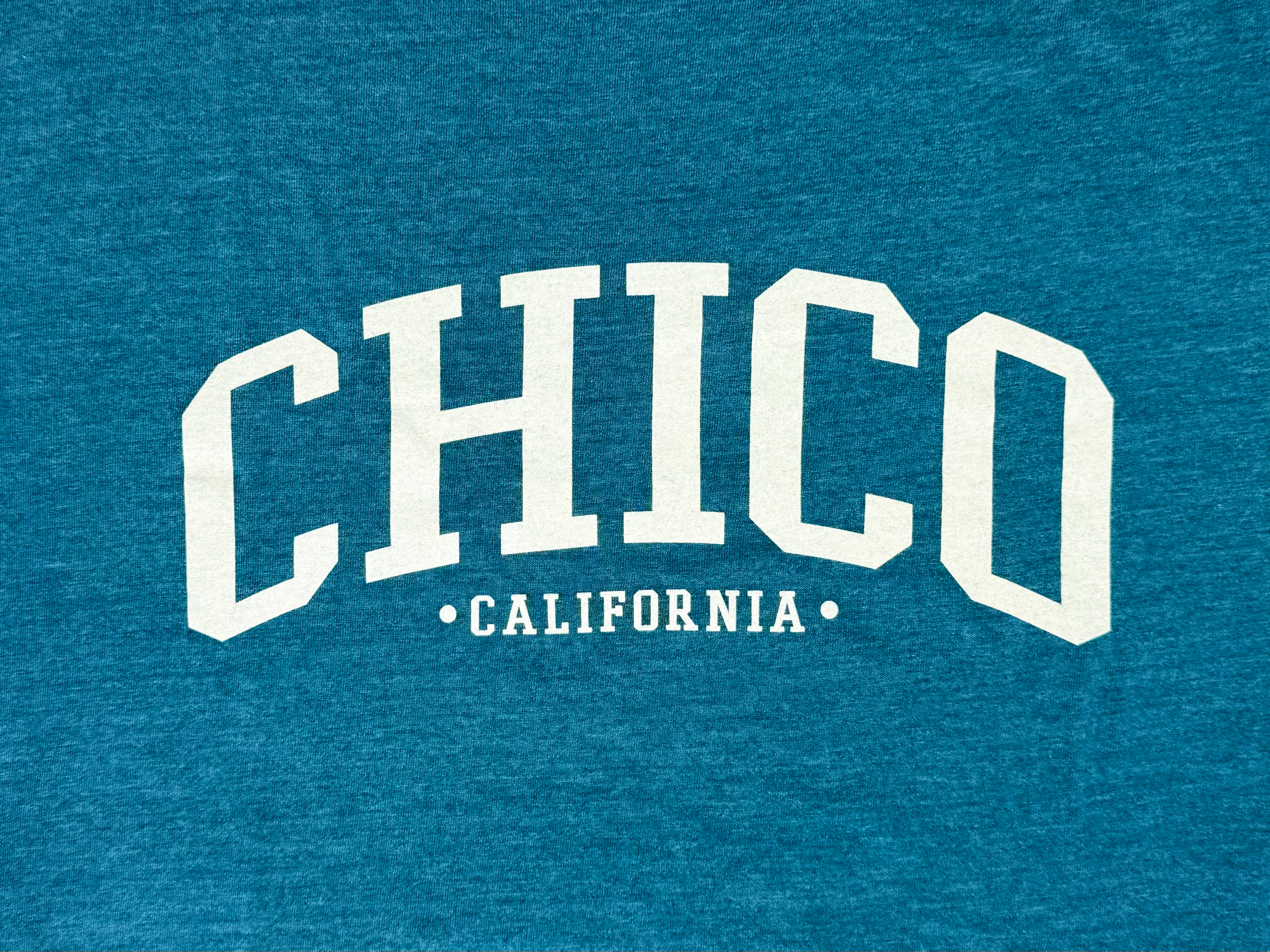Ivy Scene This Chico T-Shirt