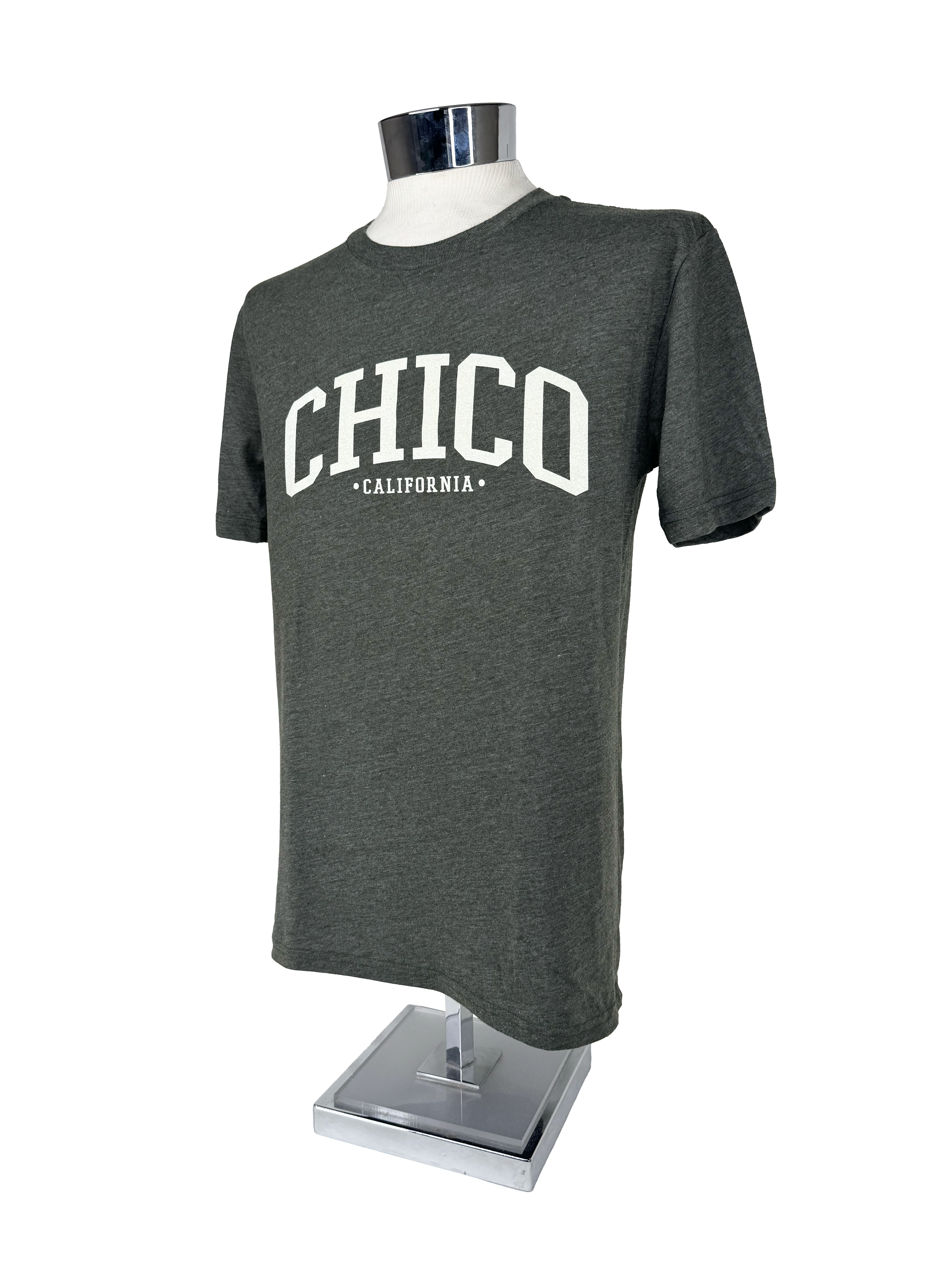Ivy Scene This Chico T-Shirt Forest XS 3278925.8