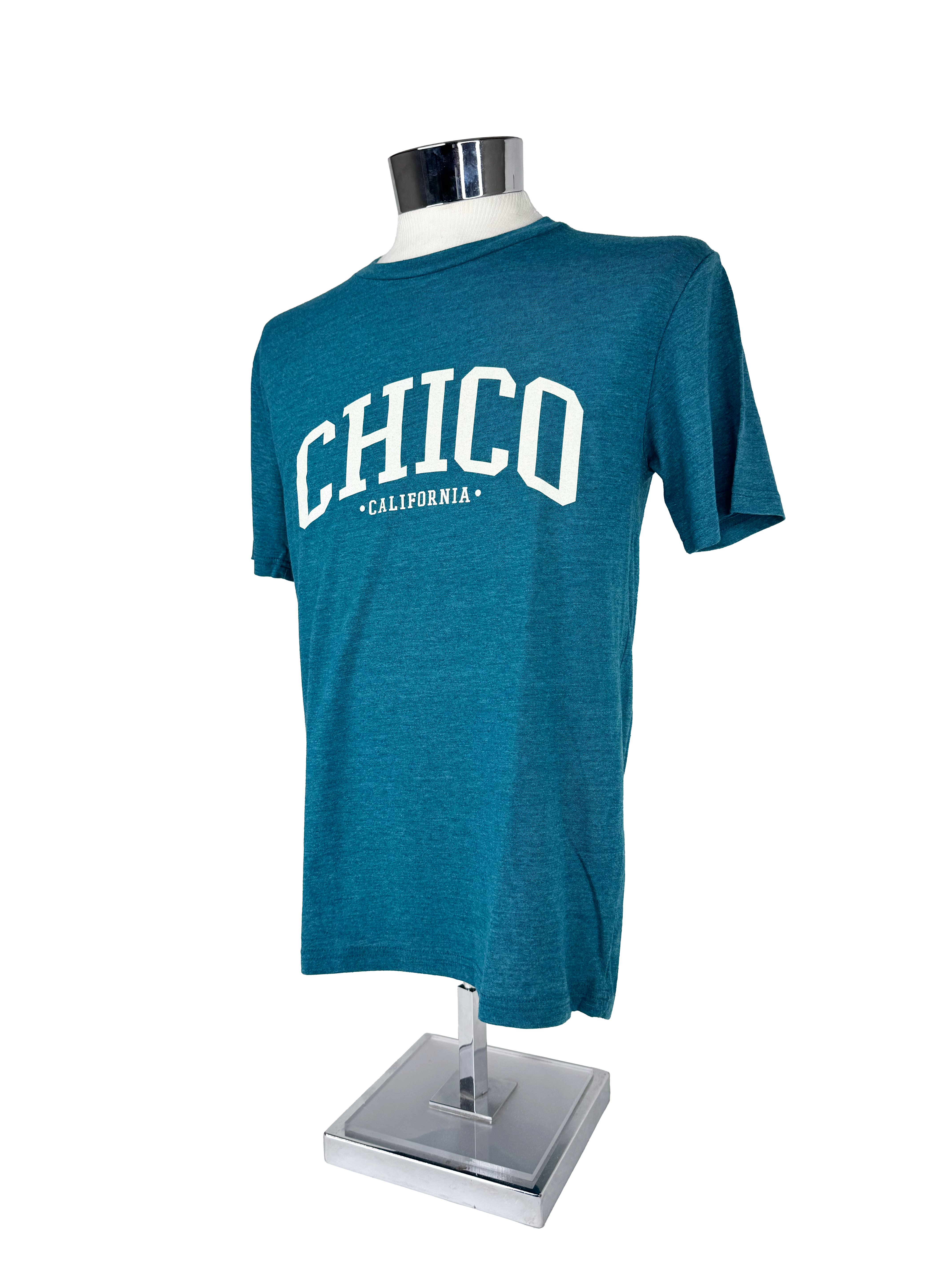 Ivy Scene This Chico T-Shirt Dark Teal XS 3278925.1