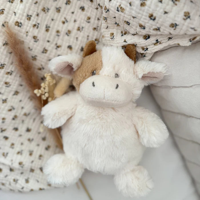 Mon Ami Petite Mocha Cow Cream