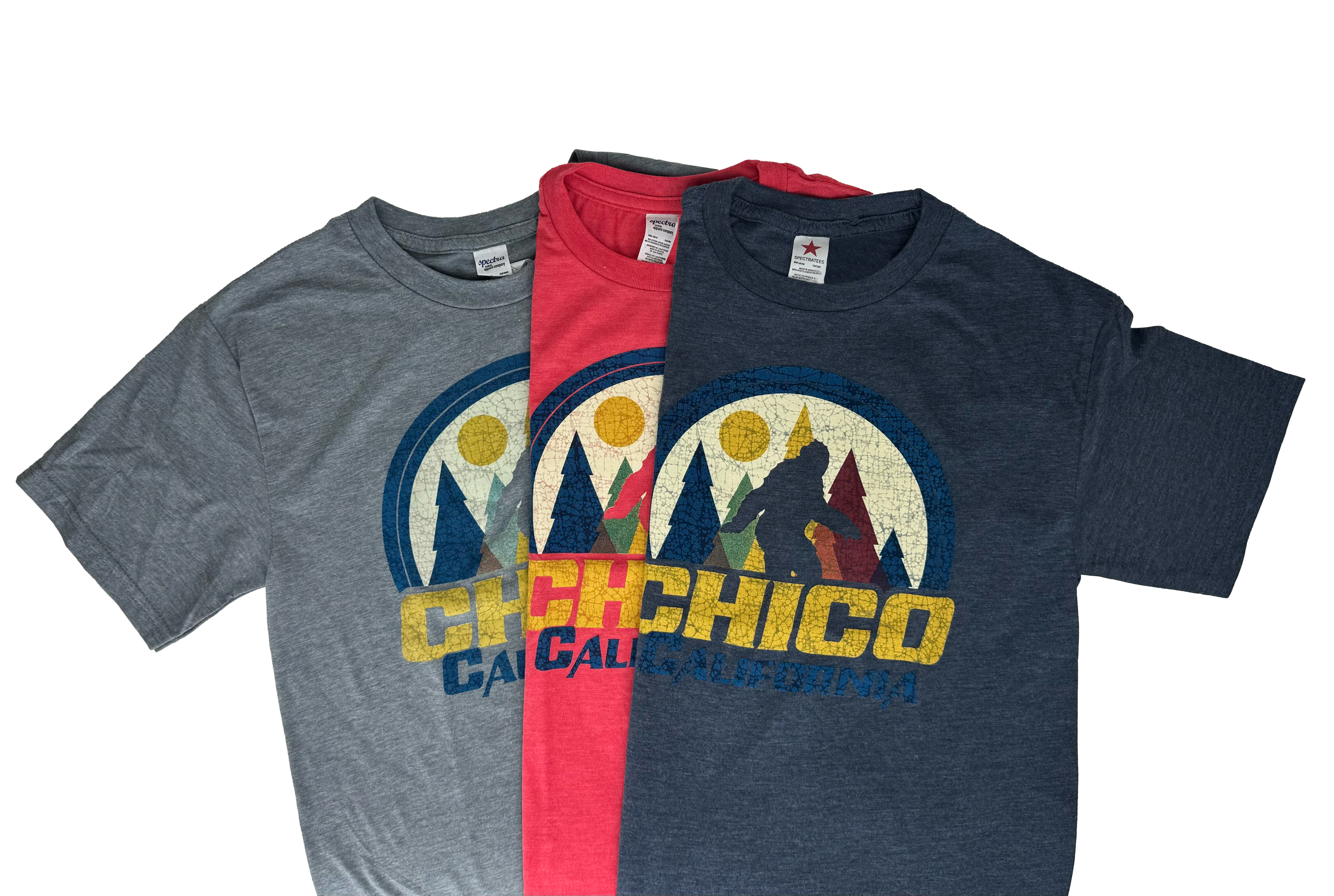 LAKESHIRT Scintilla Chico, CA T-Shirt - Youth