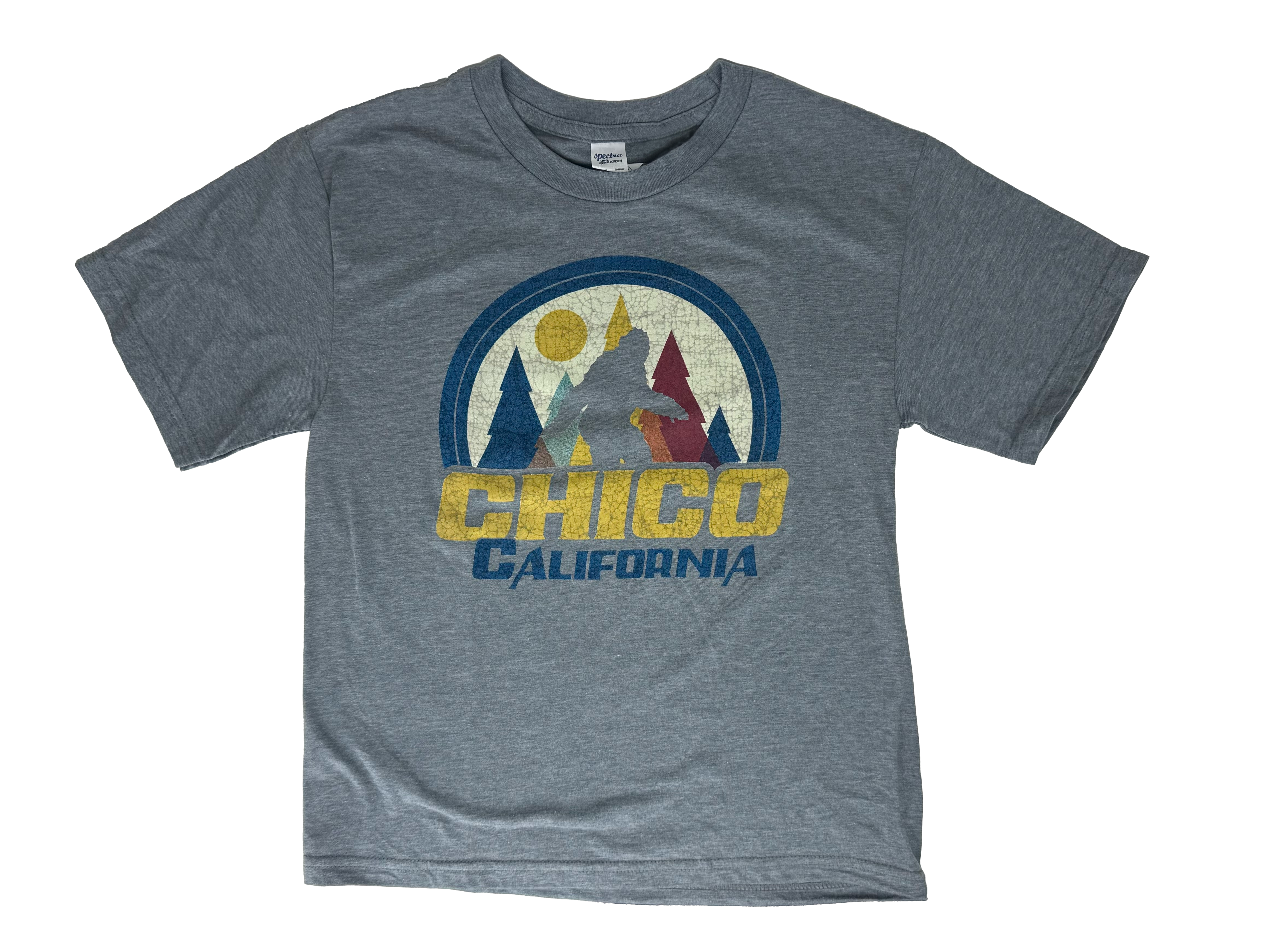 LAKESHIRT Scintilla Chico, CA T-Shirt - Youth Heather Grey XS 3274963.1