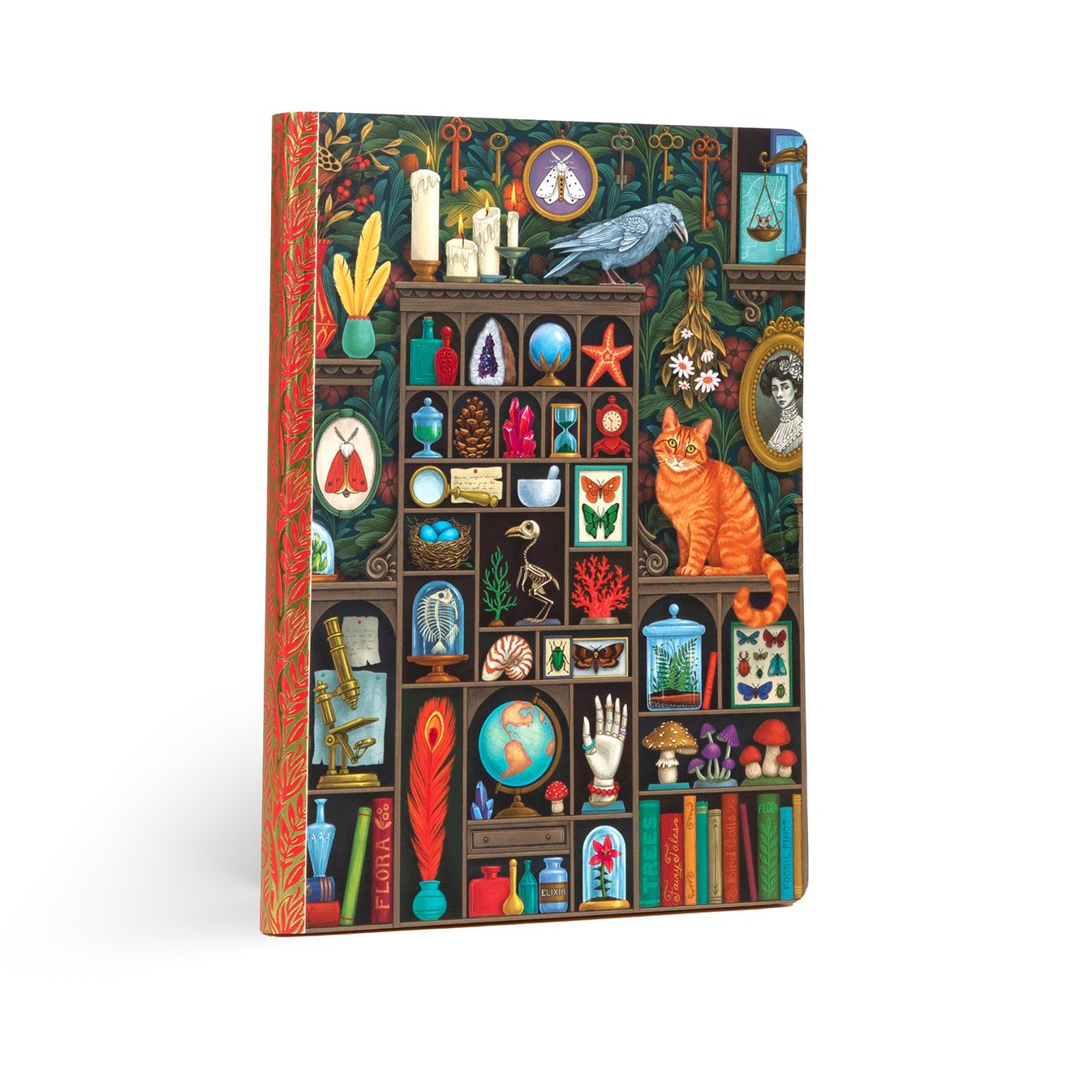 eeBoo Alchemist's Cabinet Luxe Journal