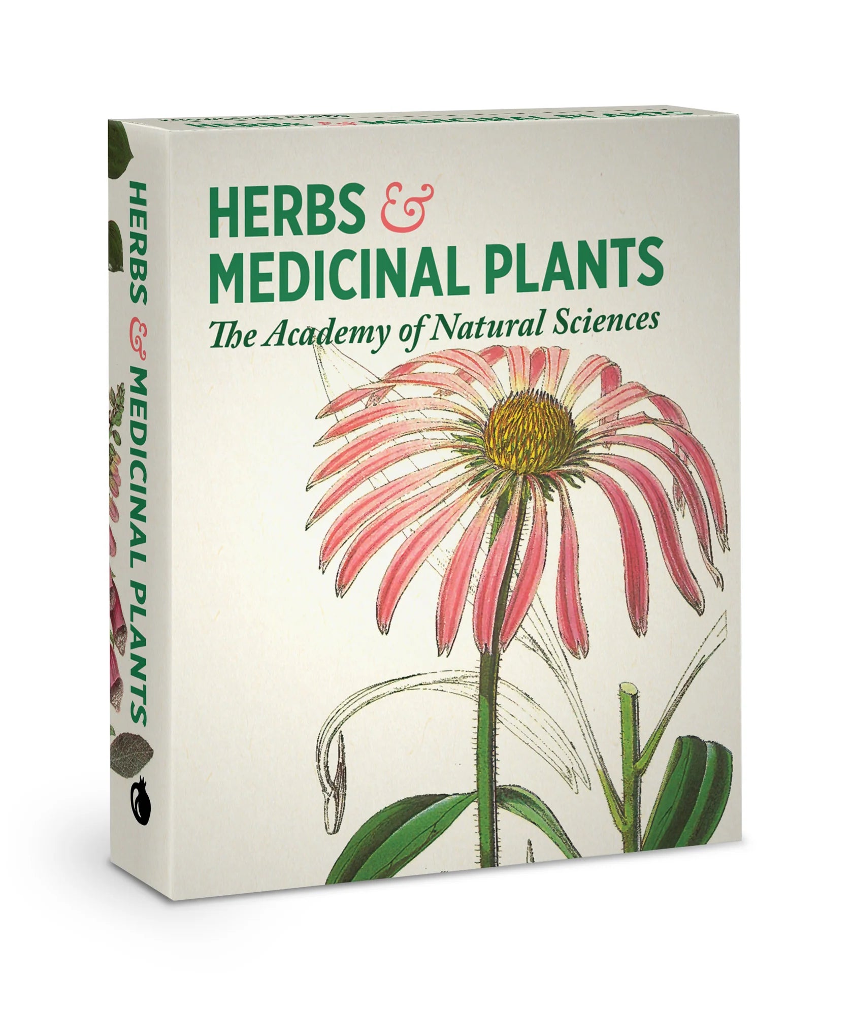 Knowledge Cards - Herbs and Medicinal Plants