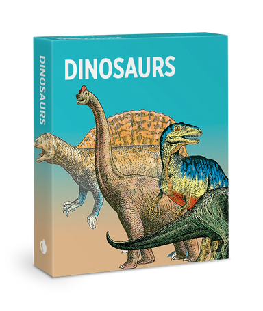 Knowledge Cards - Dinosaurs