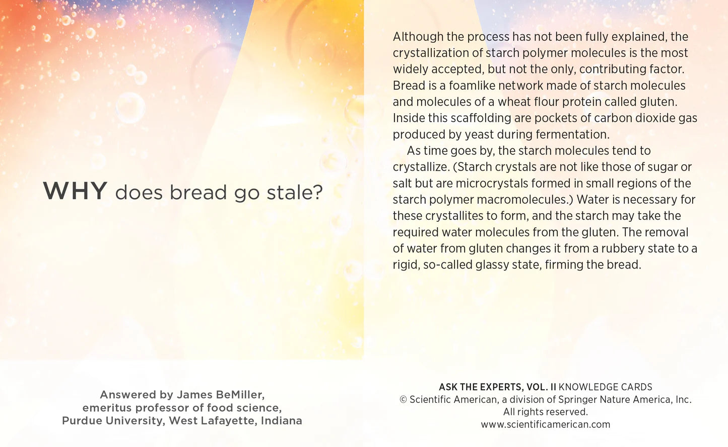 Knowledge Cards Ask The Experts: Mind Blowing Answers to Science Questions Vol 2