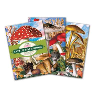 Fumiha's Mushrooms - Set of 3 Little Notebooks