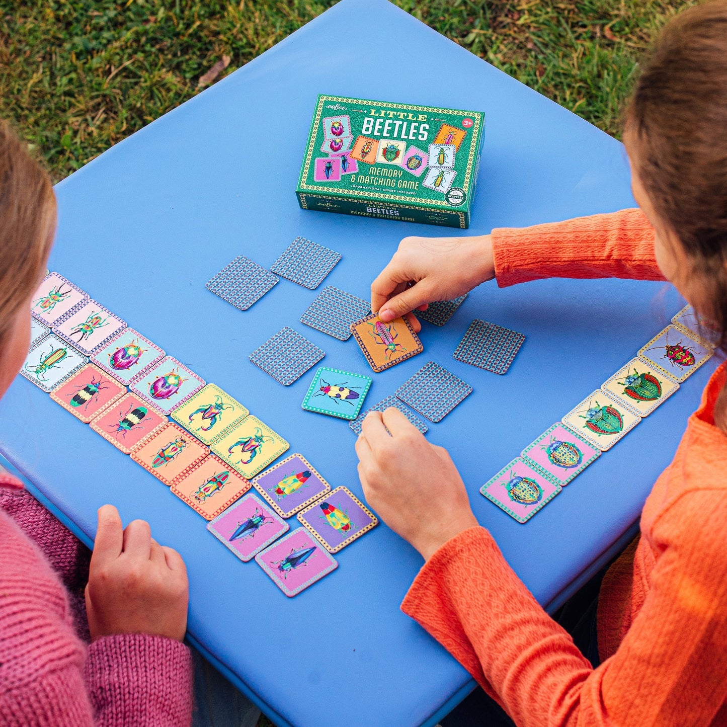 eeBoo Little Beetles Memory & Matching Game