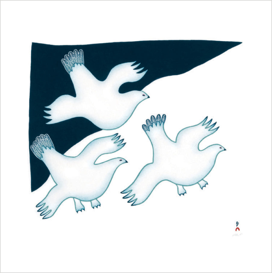 Arctic Animals from Kinngait Memory Game