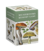 Mushrooms: Alexander Viazmensky Memory Game