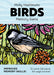 Molly Hashimoto: Birds Memory Game