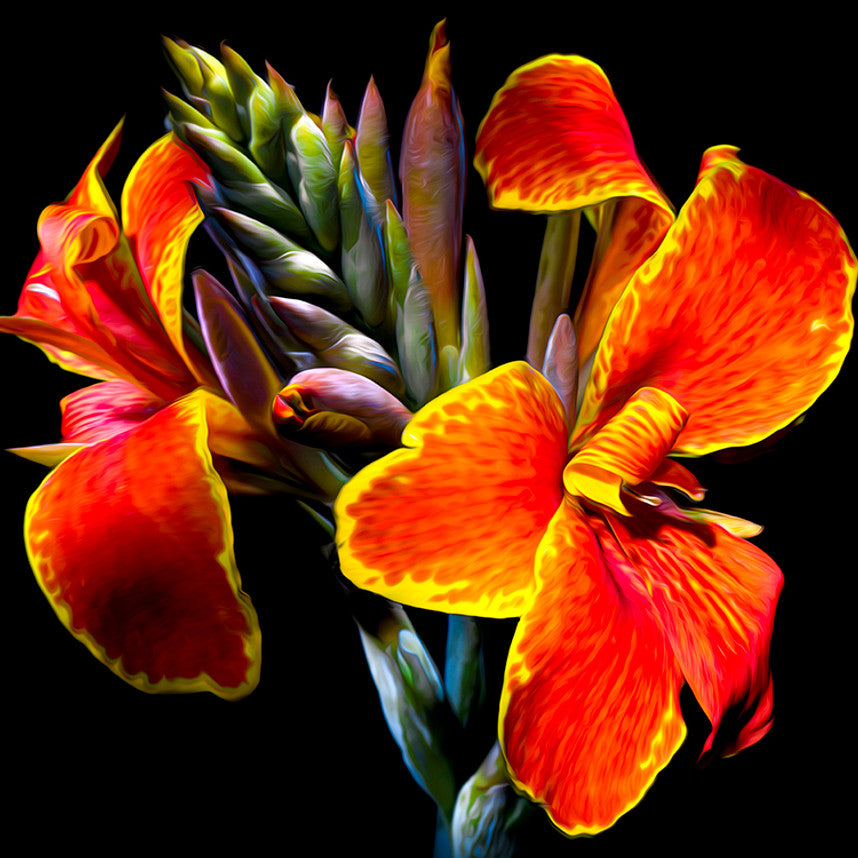 Maderna Canna Lily 500 Piece Puzzle