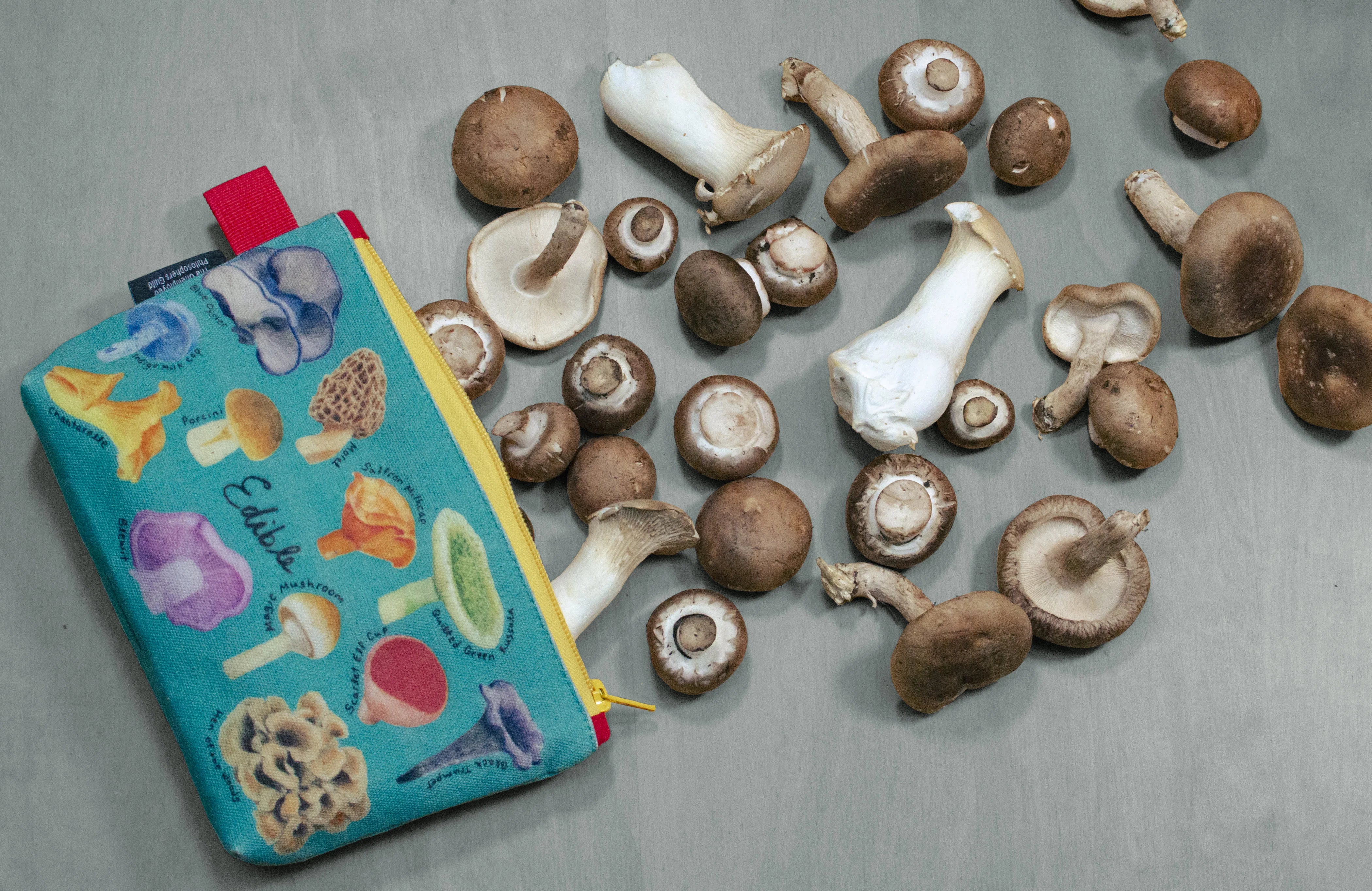 UPG Mushroom Zip Bag