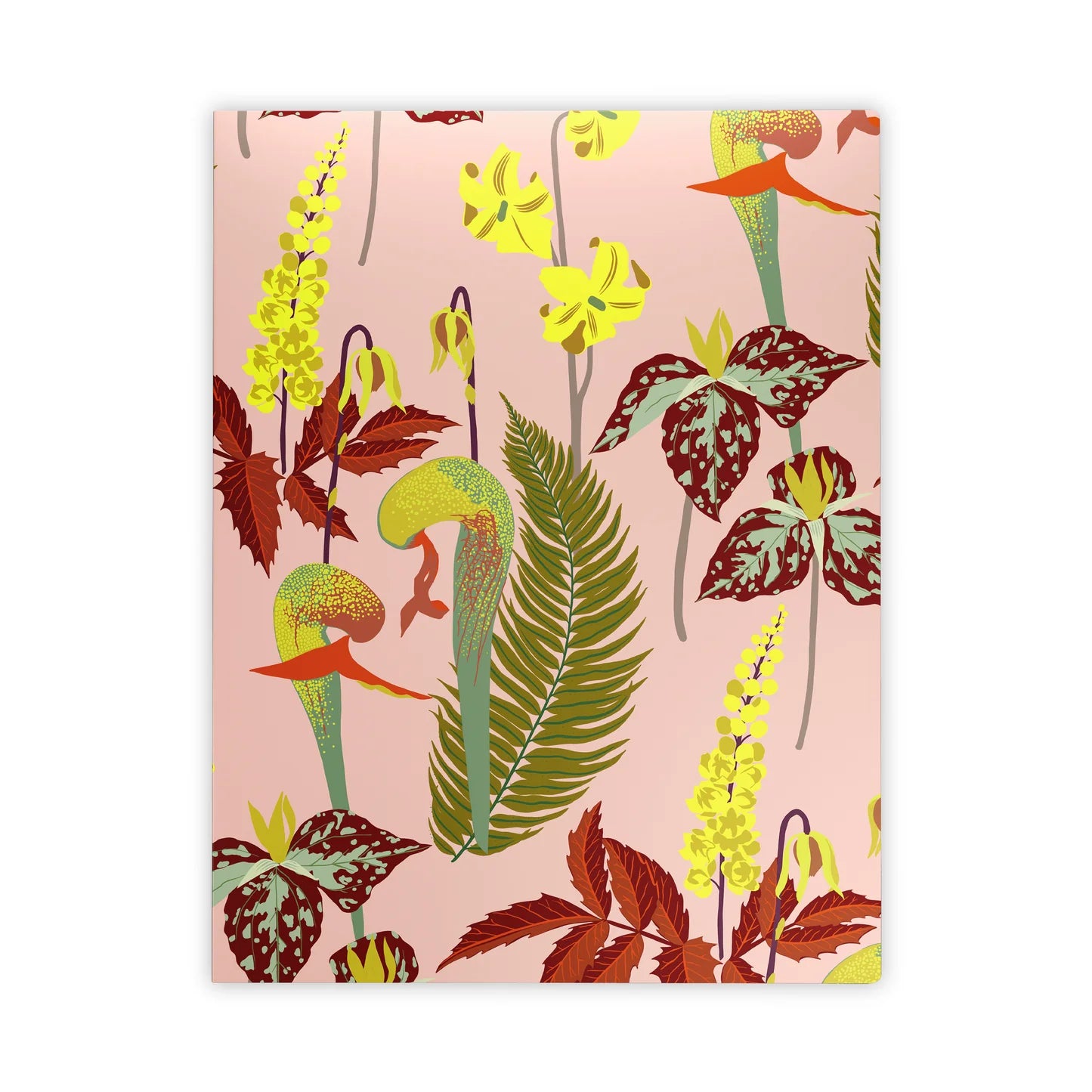 POM Kate Blairstone Large Notebook Set