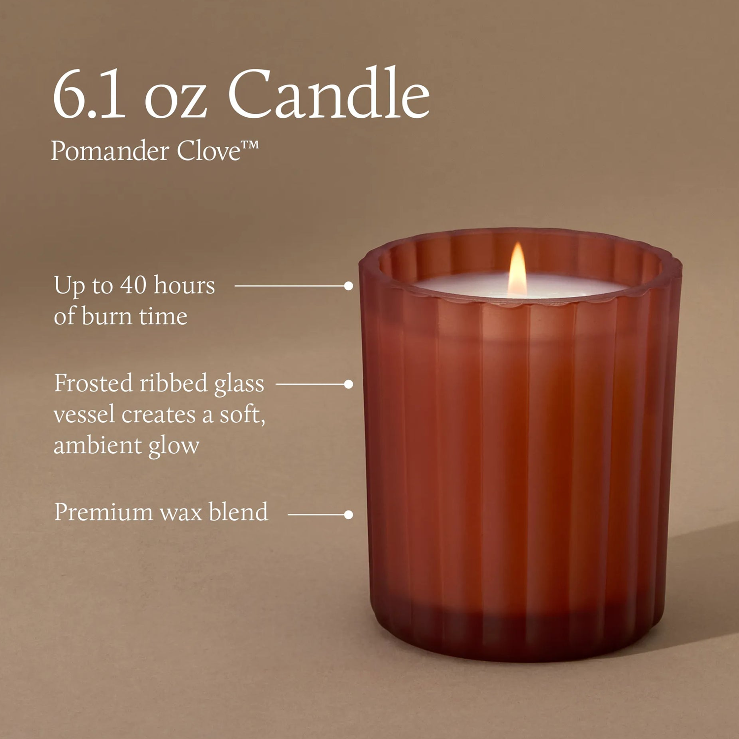 THYMS Pomander Clove Poured Candle