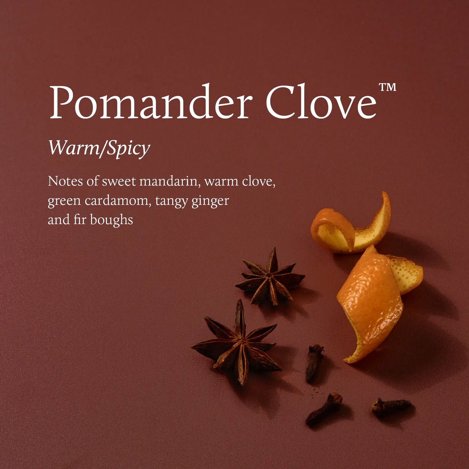 THYMS Pomander Clove Votive Candle