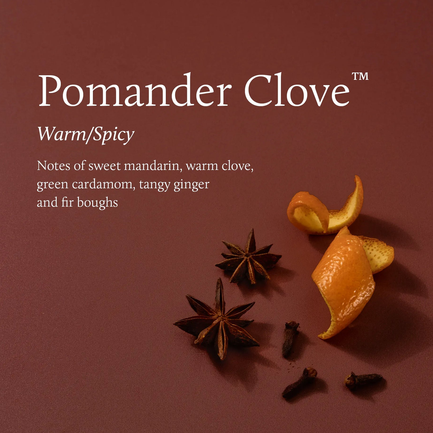 THYMS Pomander Clove Petite Reed Diffuser