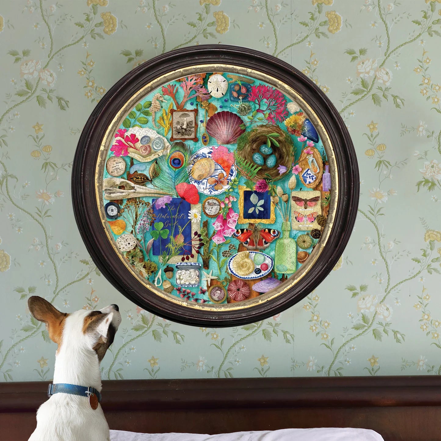 eeBoo Collecting Nature 500 Piece Round Puzzle