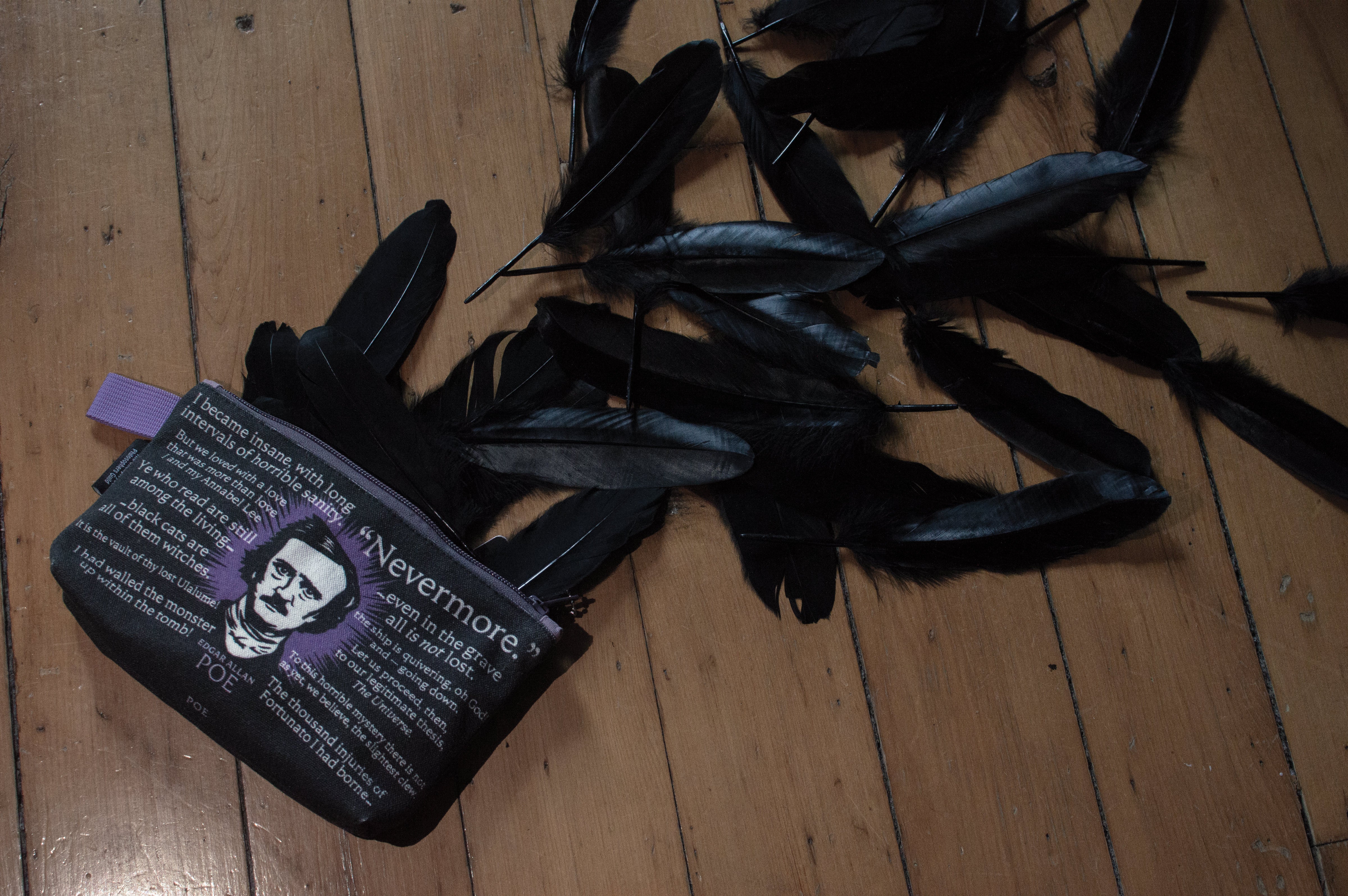 UPG Edgar Allan Poe Zip Bag