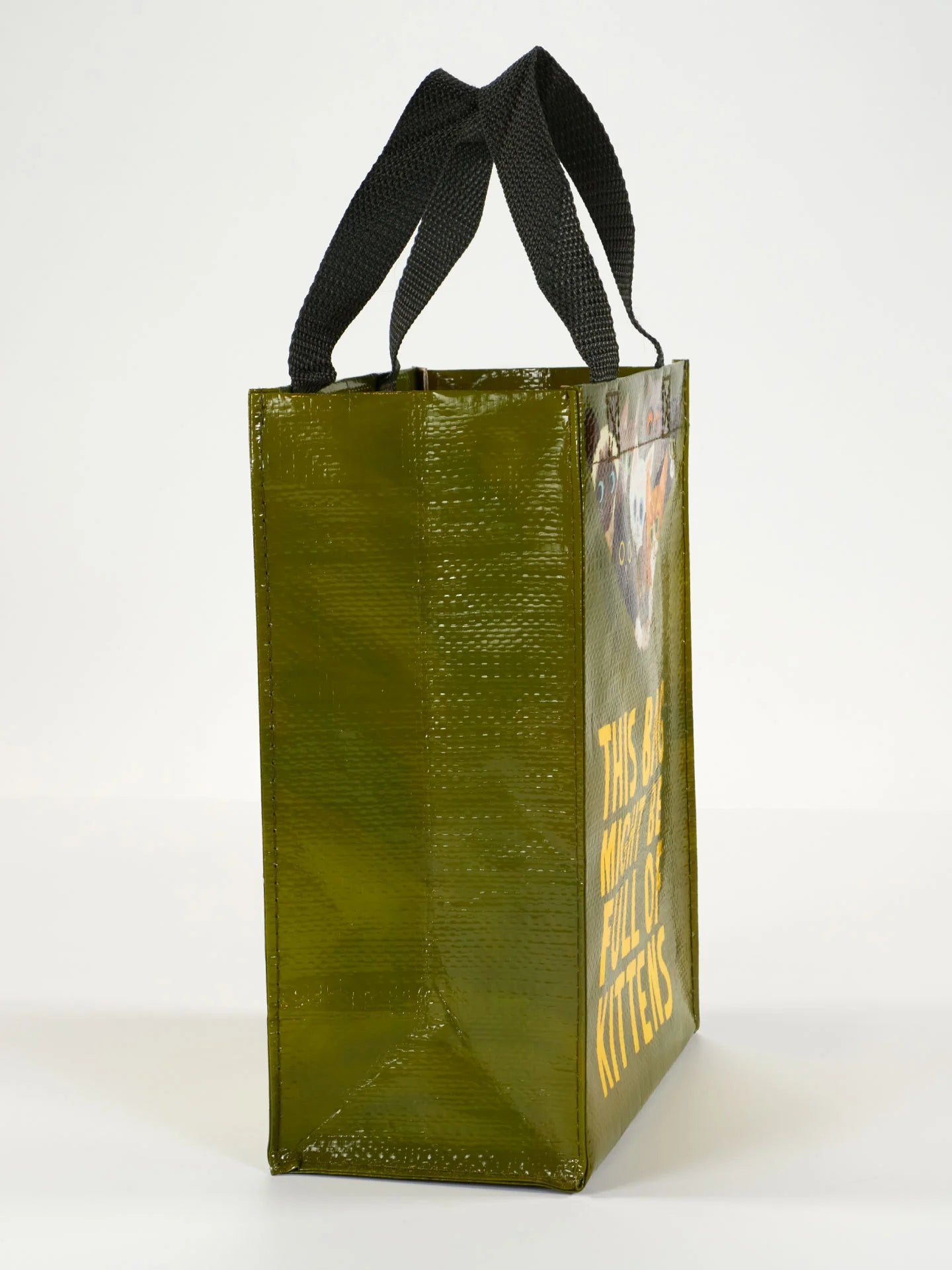 BLUQ This Bag Might Be Full Of Kittens Handy Tote