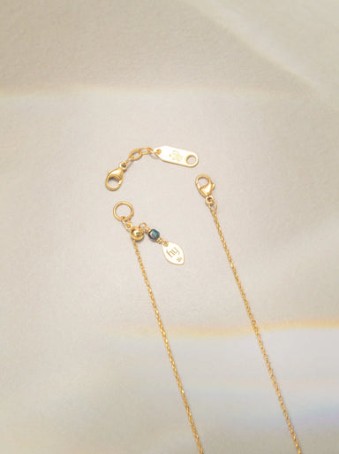 HOLLY YASHI 1 Inch Extender with Lobster Clasp - Gold and Silver