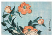 Hokusai: Poppies Small Boxed Cards