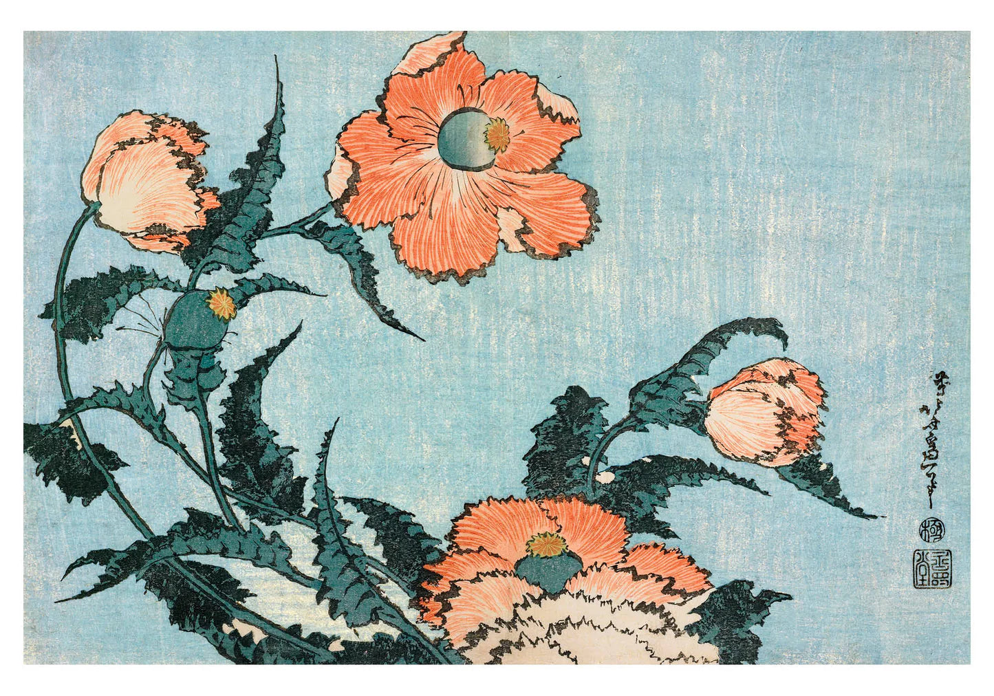 Hokusai: Poppies Small Boxed Cards