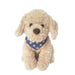 Mon Ami Bently Golden Doodle - Medium