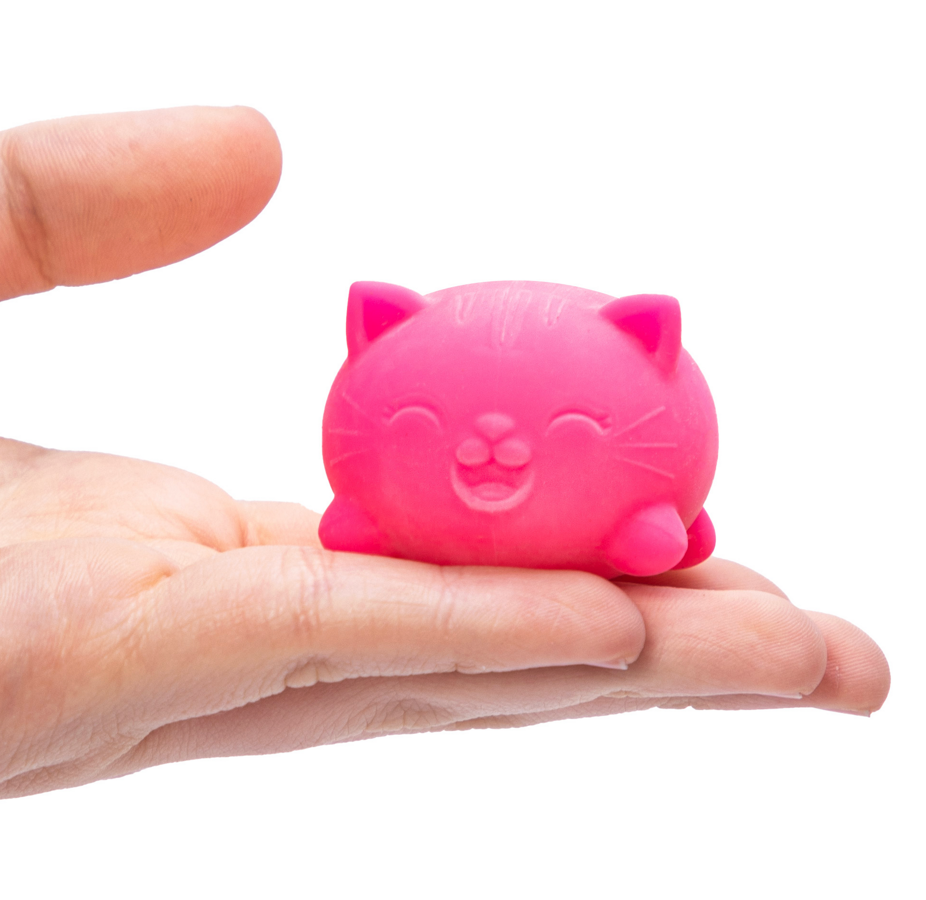 NeeDoh Teenie Cool Cats Pack of 3 - Random Colors