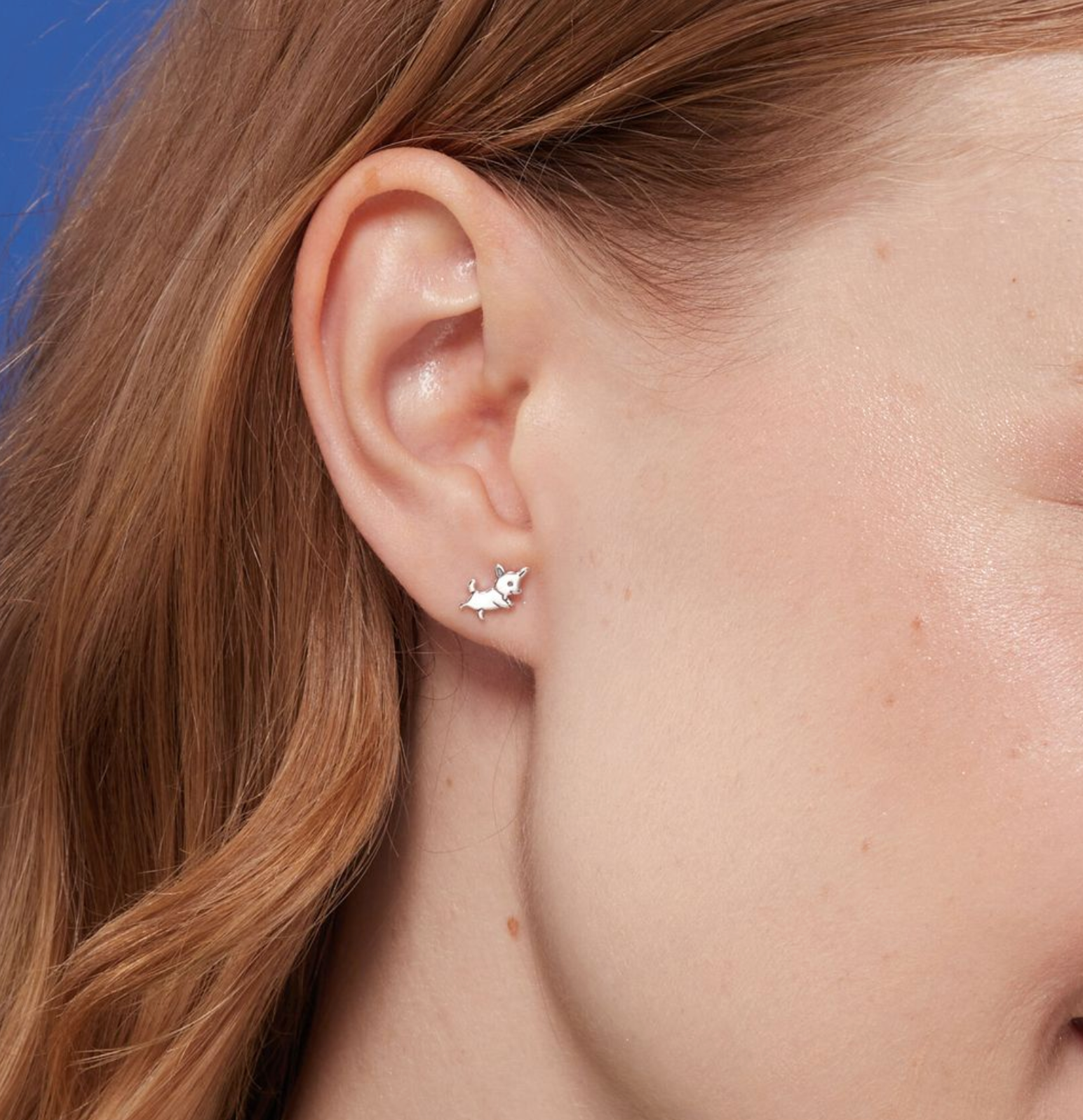 Boma Sterling Silver Chihuahua Stud Earrings